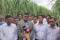 বন্ধ ছয় চিনিকল চালুর উদ্যোগ, আসছে আধুনিক প্রযুক্তি ও বিনিয়োগ